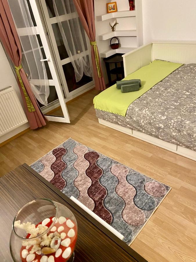 Apartament Raluca - Self Check-In Temeşvar Dış mekan fotoğraf